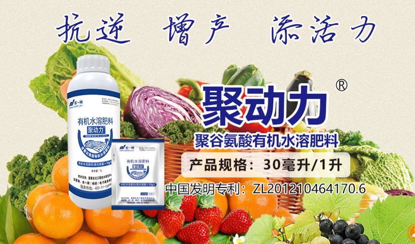 肥料檢出植物生長調(diào)節(jié)劑最高可處20倍罰款，聚谷氨酸或成安全增效新選擇
